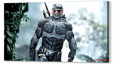 Crysis 3
