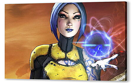 Borderlands 2
