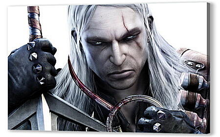 The Witcher

