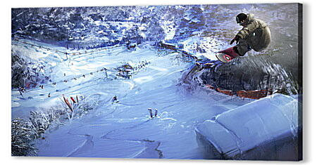 Shaun White Snowboarding
