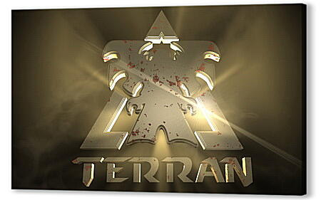 Starcraft

