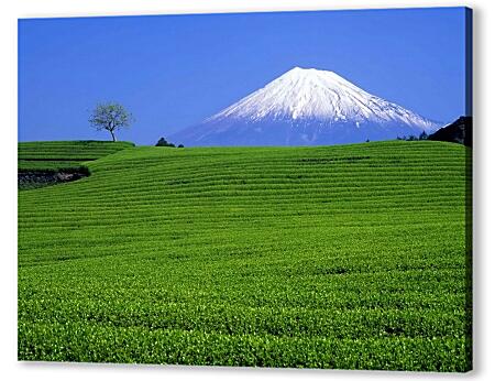 Картина маслом - Священная гора Фудзияма. Япония.