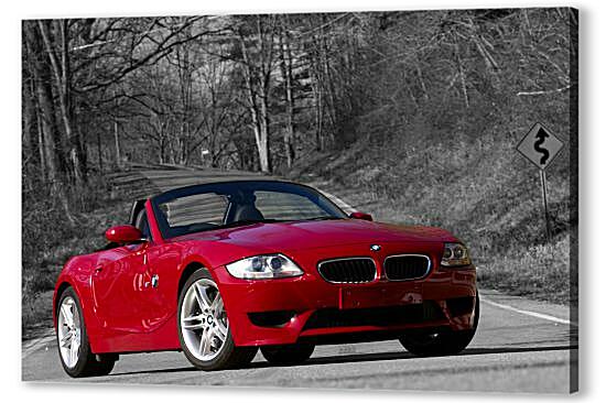 Картина маслом - Z4 BMW