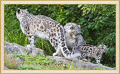 Картина - leopard - Барс