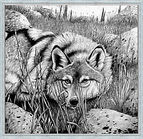 Картина - Волк