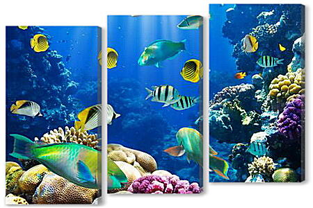 Модульная картина - tropical fish - тропические рыбки