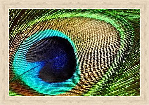 Картина - Перо павлина