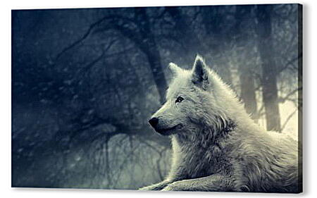 Постер (плакат) - wolf - волк