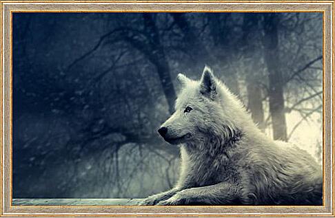 Картина - wolf - волк
