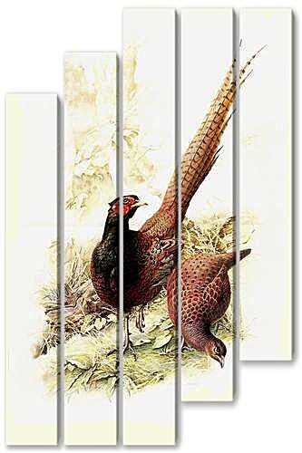Модульная картина - Пара фазанов