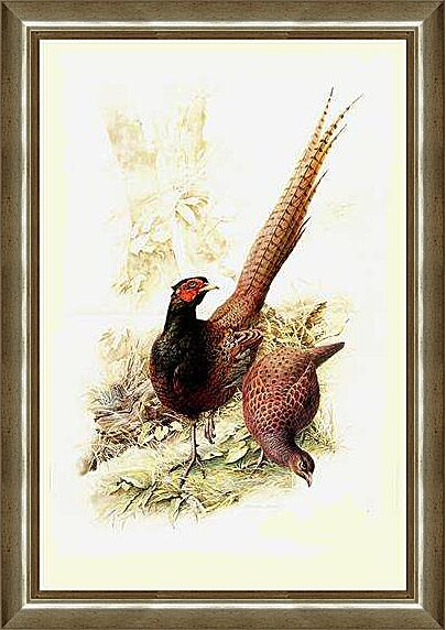 Картина - Пара фазанов