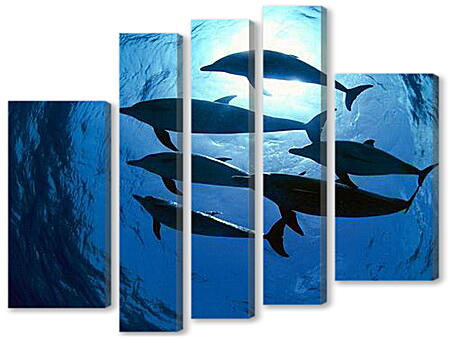 Модульная картина - Dolphin - Дельфины