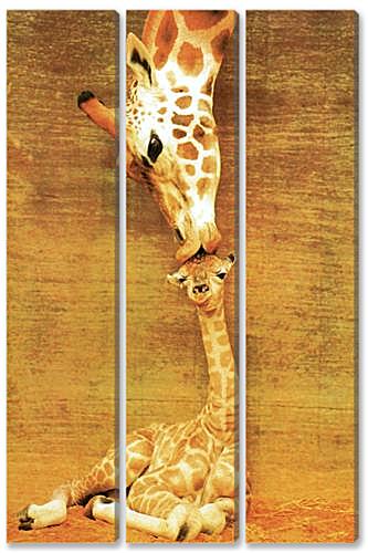 Модульная картина - жирафы - жирафы