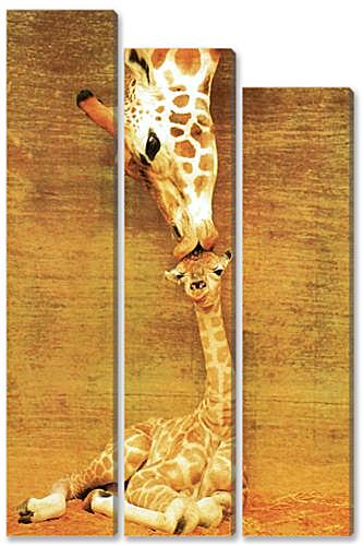 Модульная картина - жирафы - жирафы