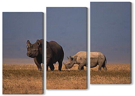 Модульная картина - Пара Носорогов