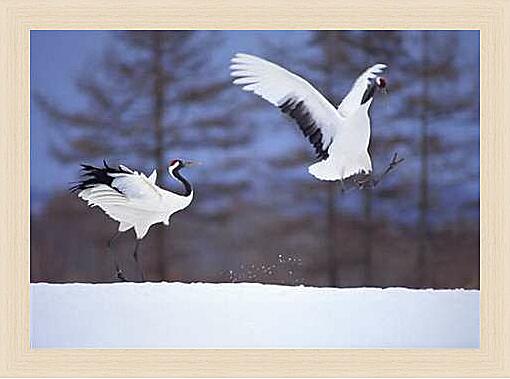 Картина - Журавли в брачном танце