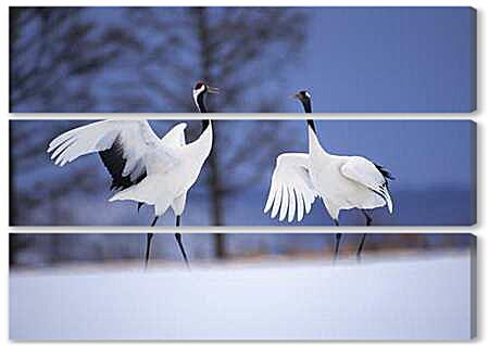 Модульная картина - Белые аисты, брачные танцы