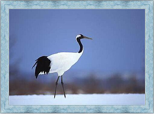 Картина - Белый аист