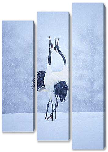 Модульная картина - Белые аисты, брачные танцы