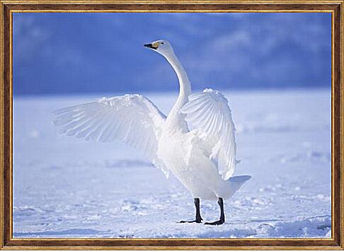 Картина - Лебедь на льду