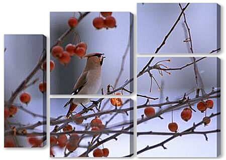 Модульная картина - Свирель за обедом