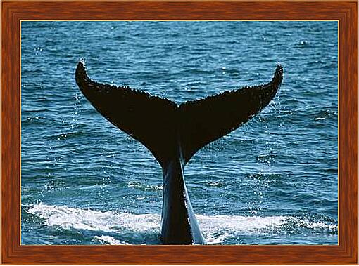 Картина - Киты