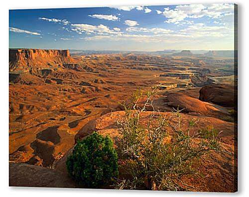 Картина маслом - canyon - Каньон
