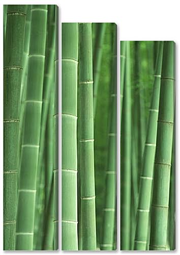 Модульная картина - Bamboo - Бамбук
