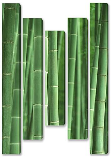 Модульная картина - Bamboo - Бамбук
