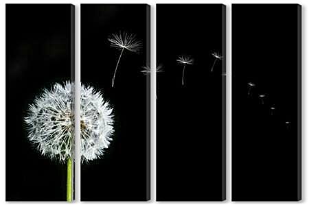 Модульная картина - flowers - одуванчик