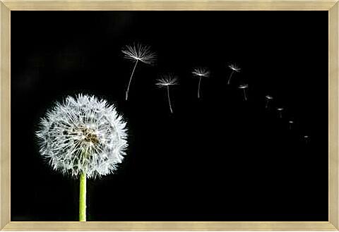 Картина - flowers - одуванчик