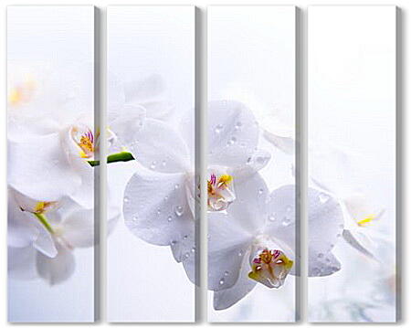 Модульная картина - orhidei - орхидеи