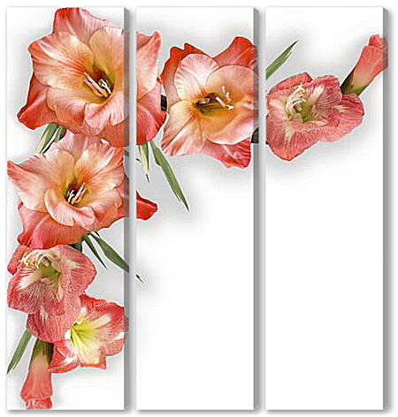 Модульная картина - gladiolusy - гладиолусы