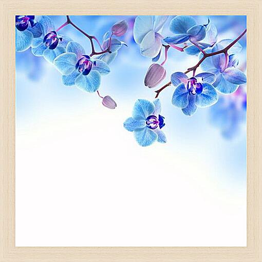 Картина - blue orchid - Синяя Орхидея