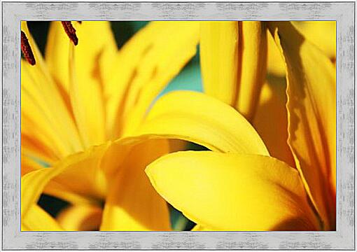 Картина - Желтые лилии