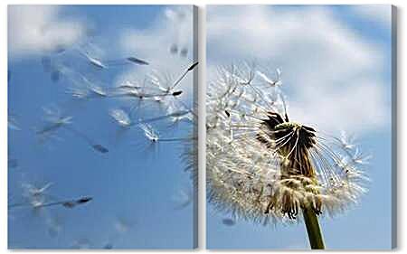 Модульная картина - flowers - Одуванчик