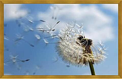 Картина - flowers - Одуванчик