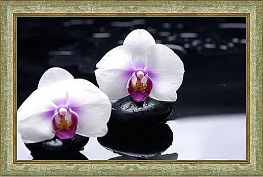 Картина - orhidei - орхидея