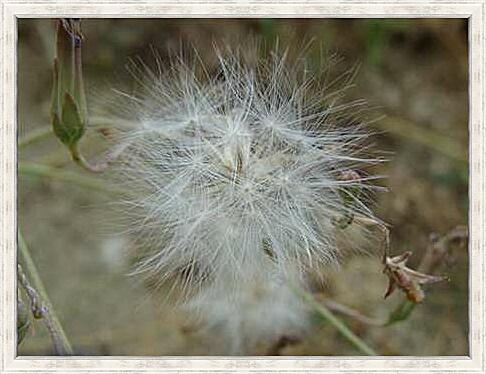 Картина - summer - Лето