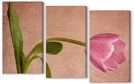 Модульная картина - tulip - тюльпан