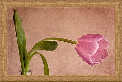 Картина - tulip - тюльпан