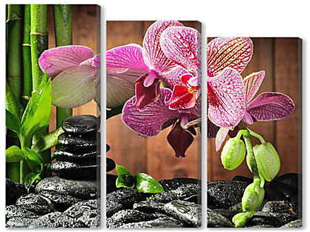 Модульная картина - орхидея
