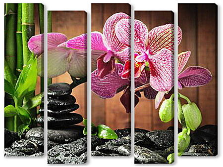 Модульная картина - орхидея