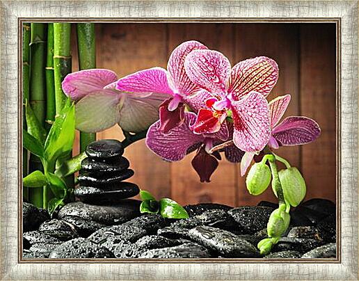 Картина - орхидея