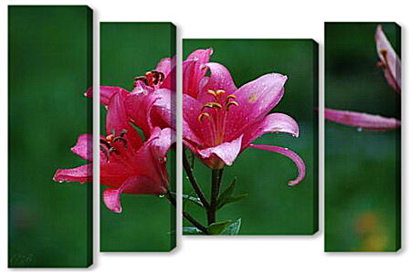Модульная картина - Розовые лилии