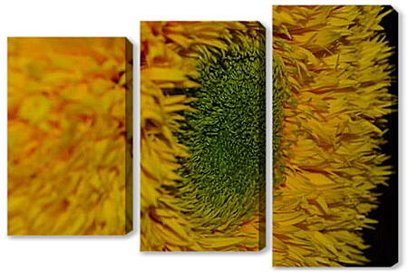Модульная картина - flower1 - Подсолнух
