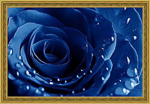 Картина - Синяя роза