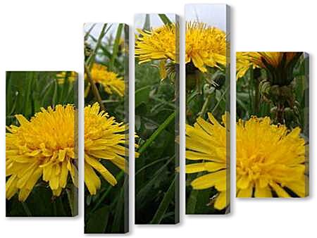 Модульная картина - Одуванчики