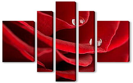 Модульная картина - Лепестки роз с каплями росы