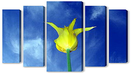 Модульная картина - Желтый тюльпан